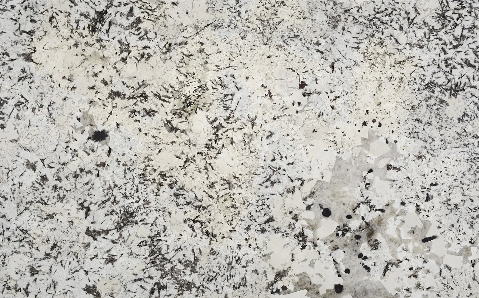 Bianco Antico