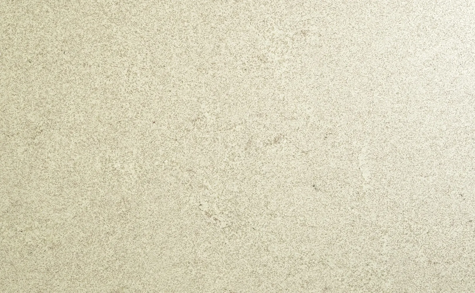 Kashmir White
