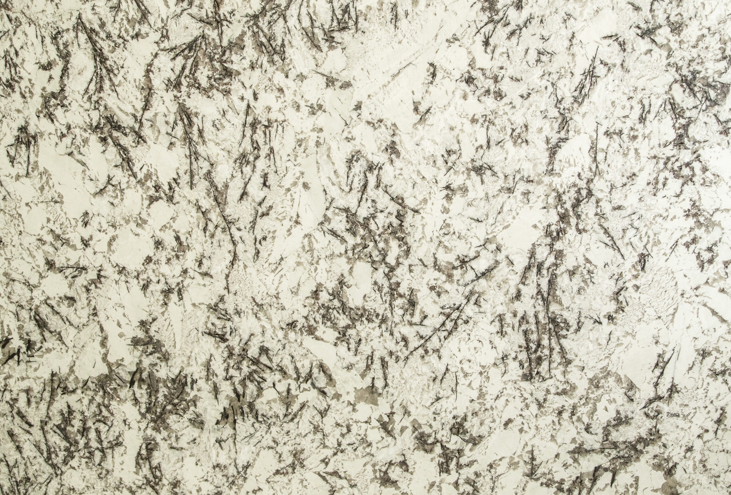 Splendor White