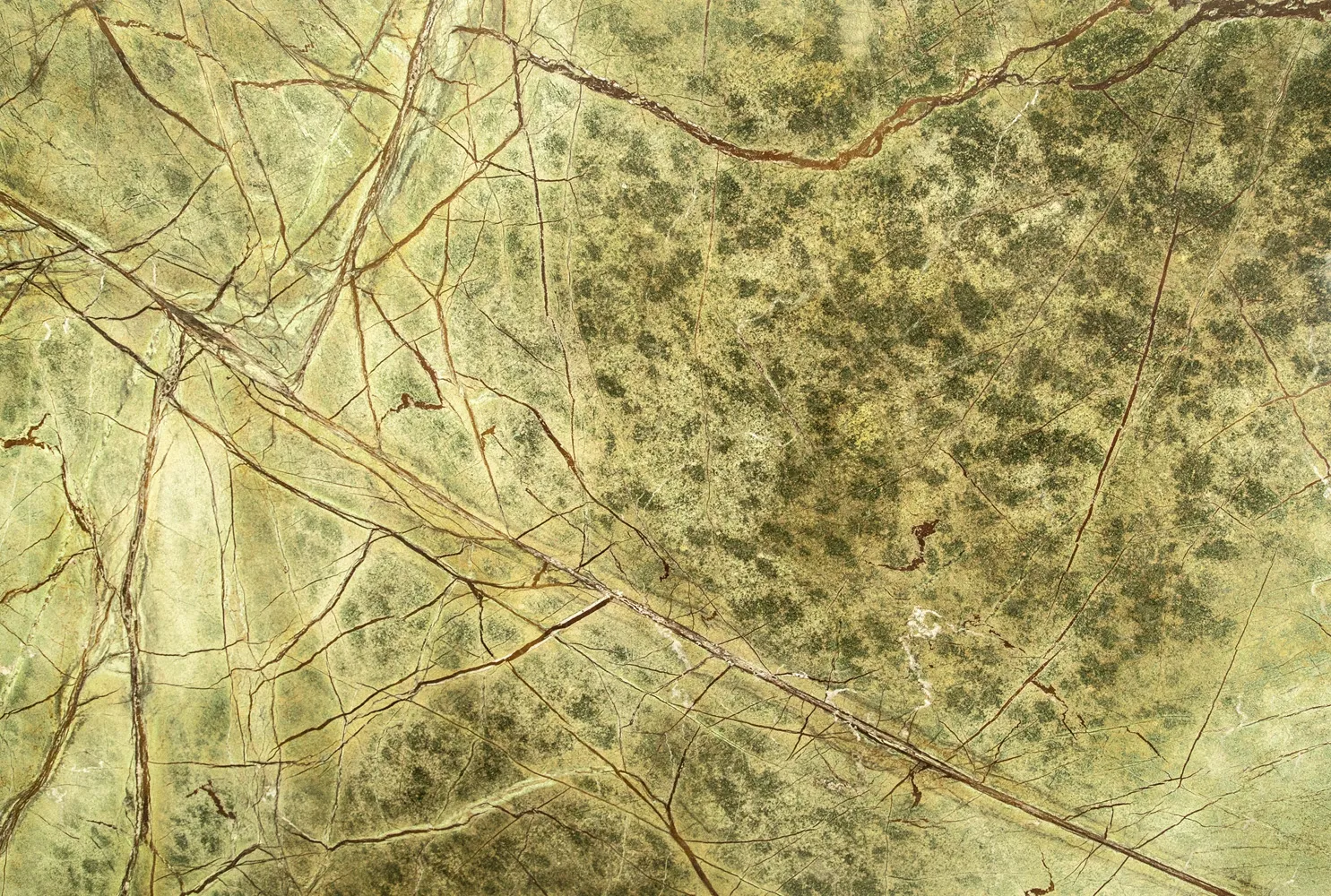 Verde Bosque