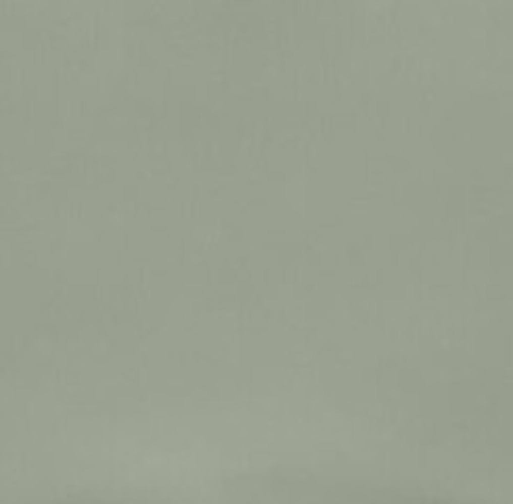 Posidonia Green